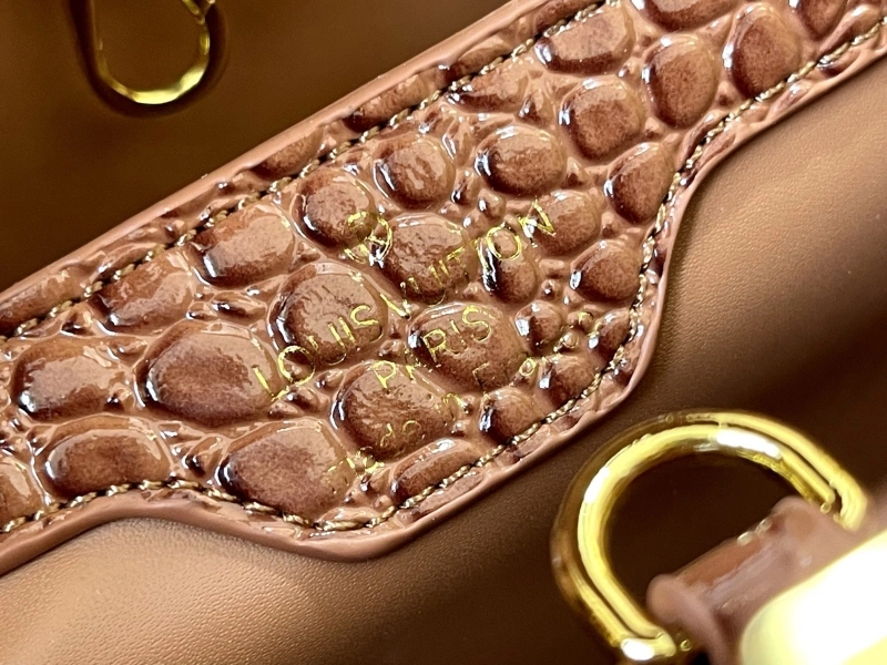 Fashionable LX Caxucines Bags 22550