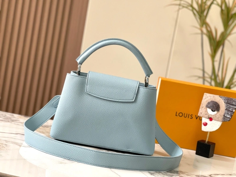 Popular LX Caxucines Bags 22547