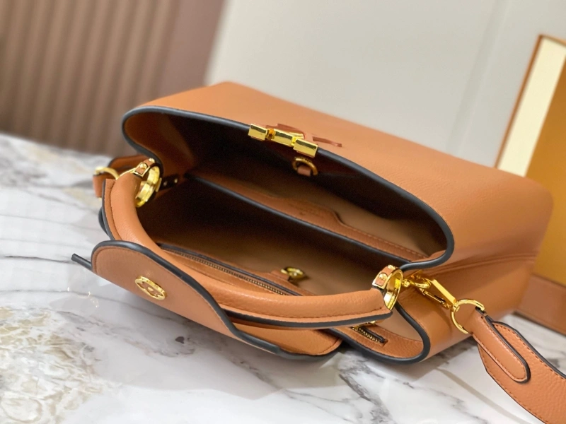 Resilient LX Caxucines Bags 22506