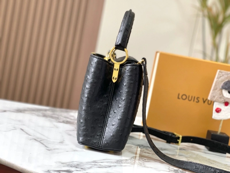 DailyWear LX Caxucines Bags 22494