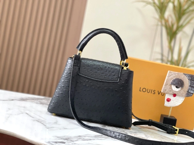 DailyWear LX Caxucines Bags 22494