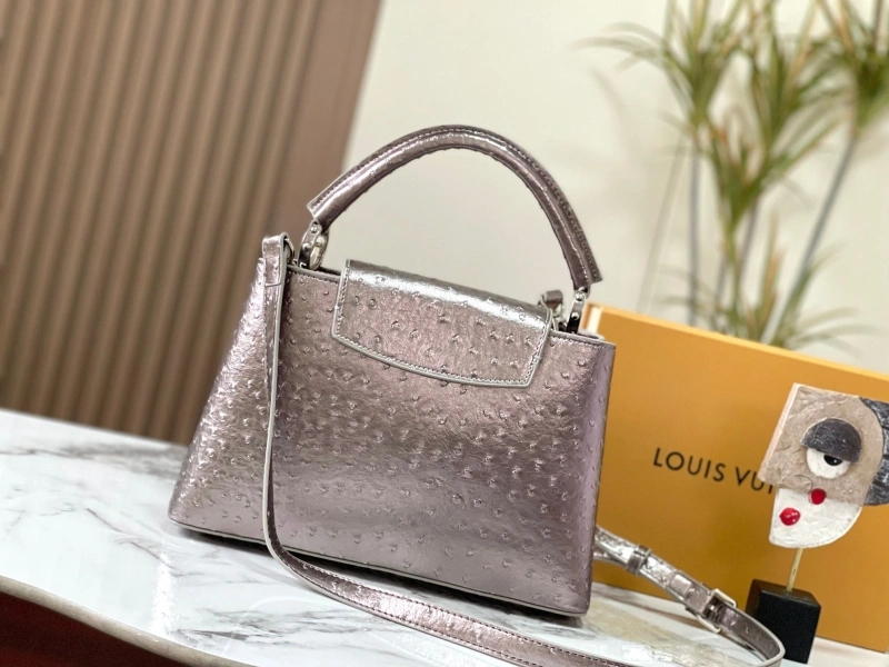 Cozy LX Caxucines Bags 22473