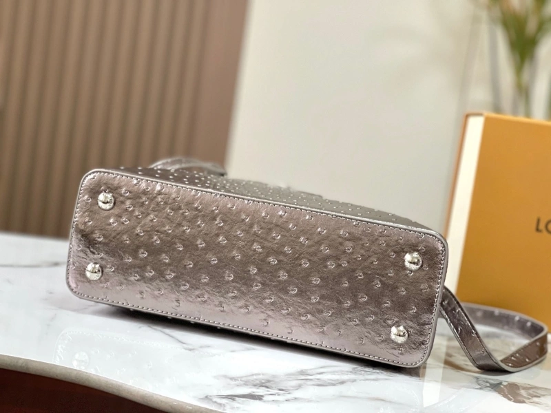Cozy LX Caxucines Bags 22473
