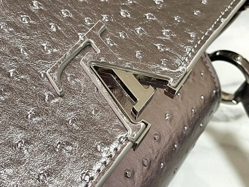 Cozy LX Caxucines Bags 22473