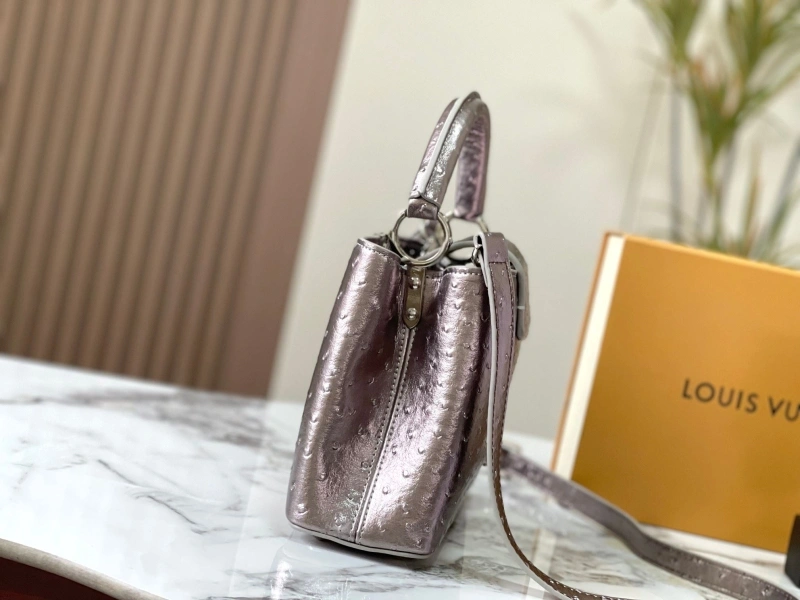 Flexible LX Caxucines Bags 22479
