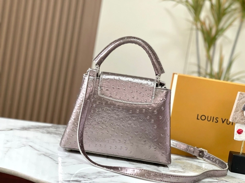 Flexible LX Caxucines Bags 22479