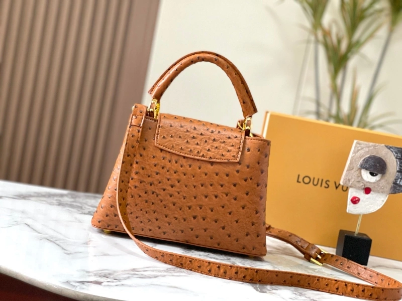 Versatile LX Caxucines Bags 22501