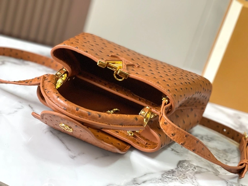 Versatile LX Caxucines Bags 22501