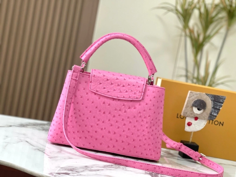 LX Caxucines Bags Fashionable 22495