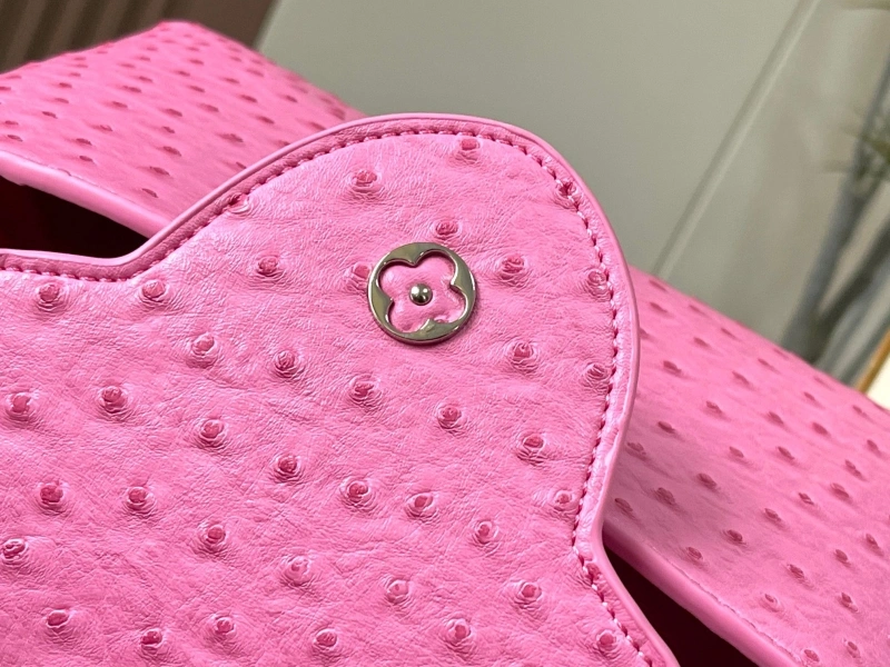 LX Caxucines Bags Fashionable 22495