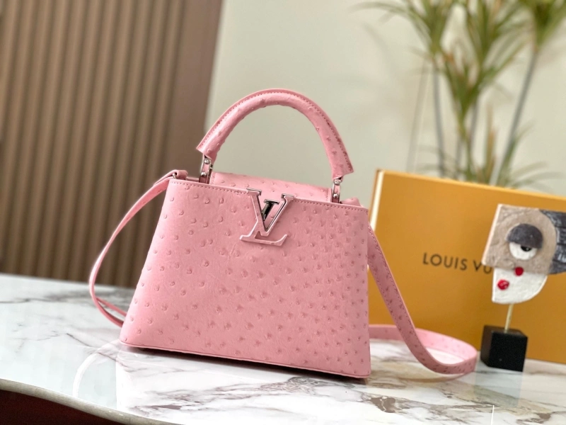 LX Caxucines Bags GoAnywhere 22478