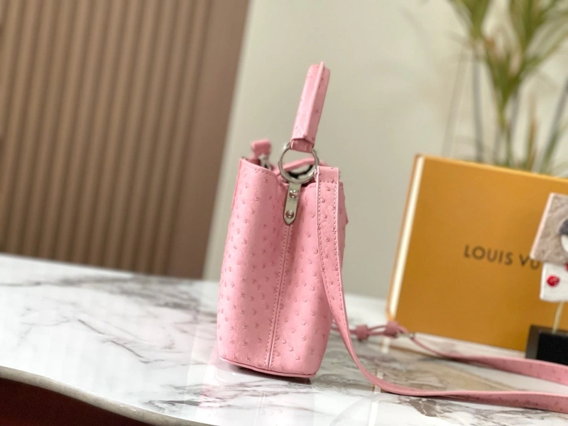 LX Caxucines Bags GoAnywhere 22478