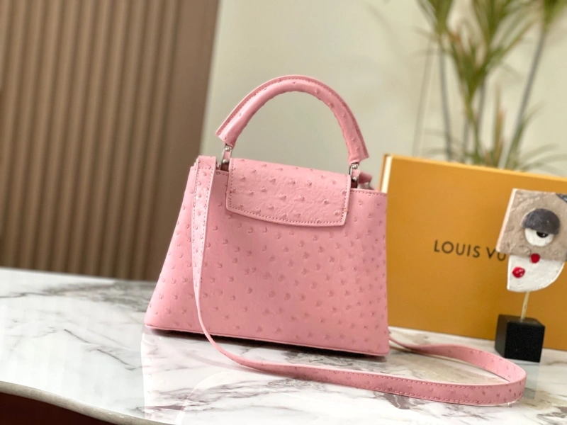 LX Caxucines Bags GoAnywhere 22478