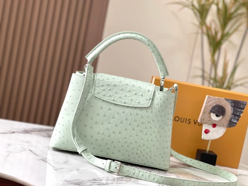 LX Caxucines Bags EyeCatching 22482