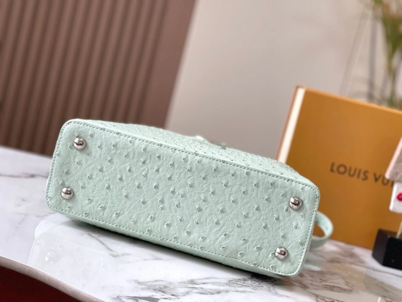 LX Caxucines Bags EyeCatching 22482