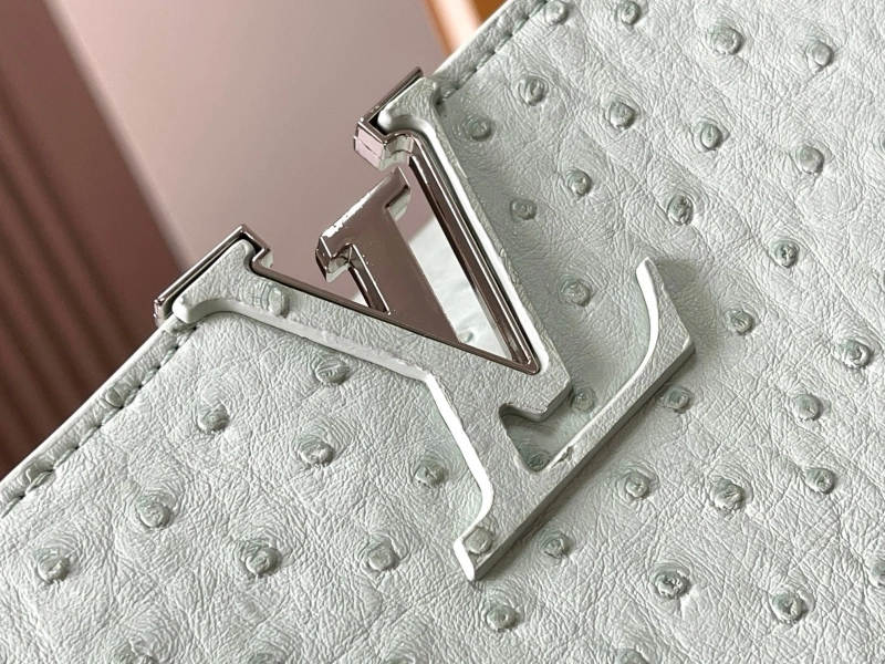 LX Caxucines Bags EyeCatching 22482