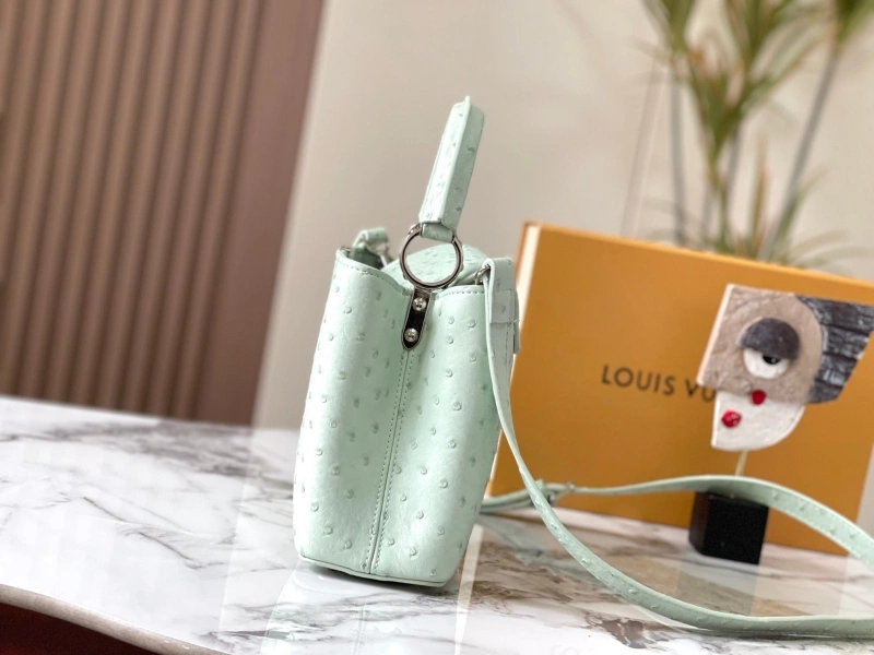 Sleek LX Caxucines Bags 22484