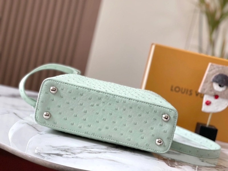 Sleek LX Caxucines Bags 22484