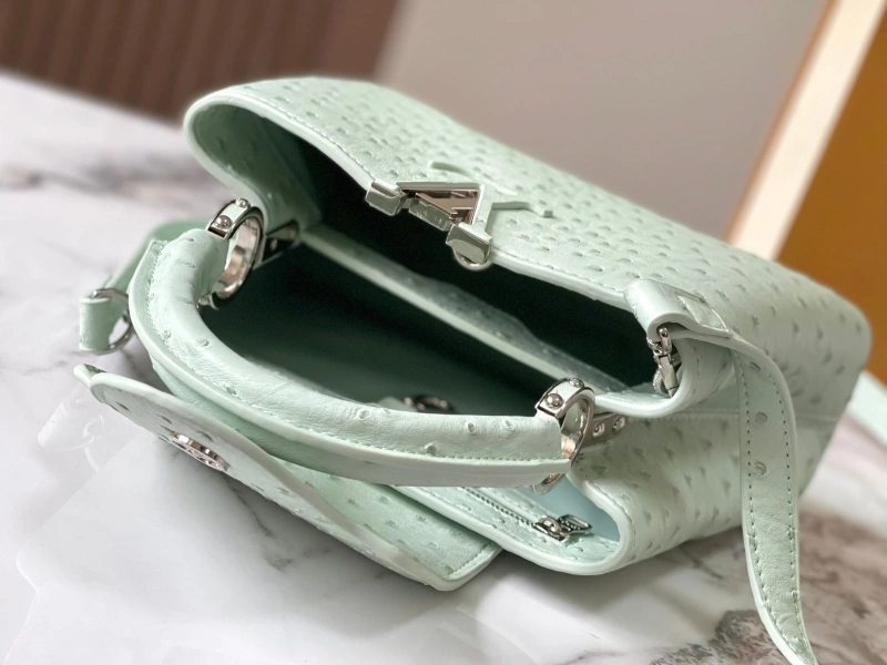 Sleek LX Caxucines Bags 22484