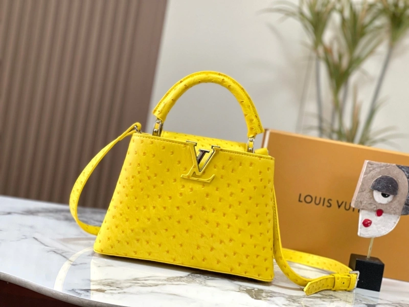 Timeless LX Caxucines Bags 22481