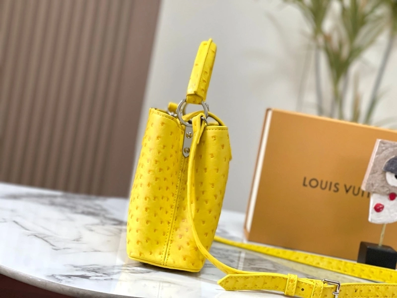 Timeless LX Caxucines Bags 22481