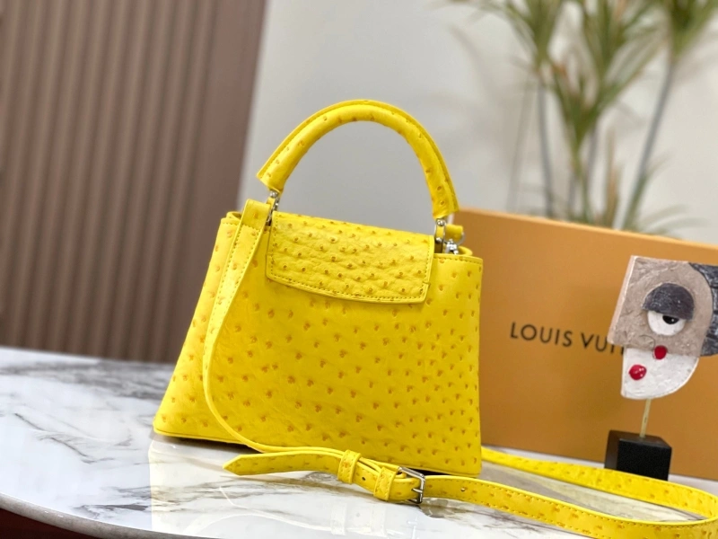 Timeless LX Caxucines Bags 22481