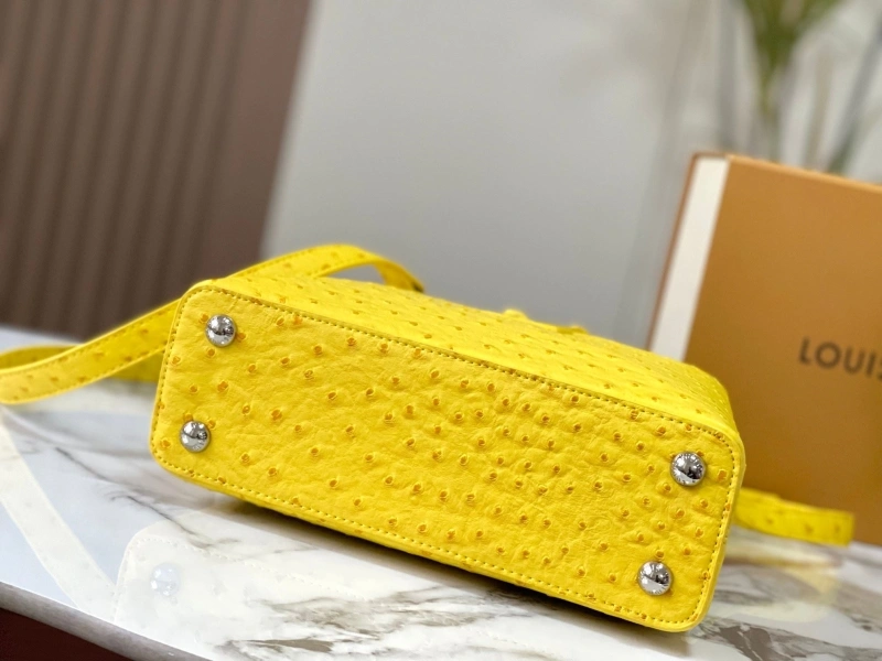 Timeless LX Caxucines Bags 22481