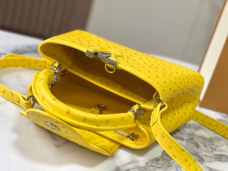Timeless LX Caxucines Bags 22481