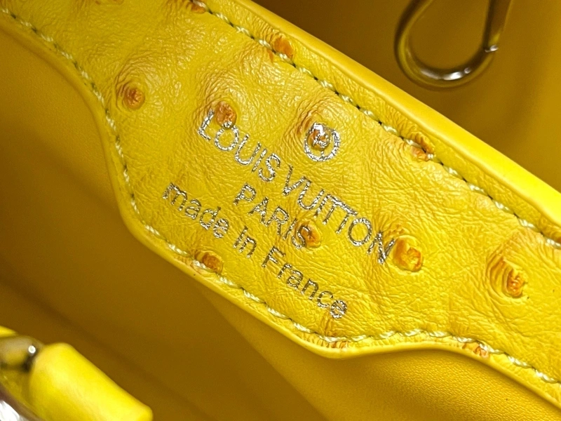 Timeless LX Caxucines Bags 22481