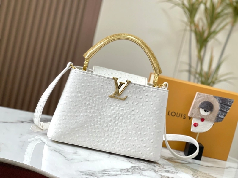 GoAnywhere LX Caxucines Bags 22520