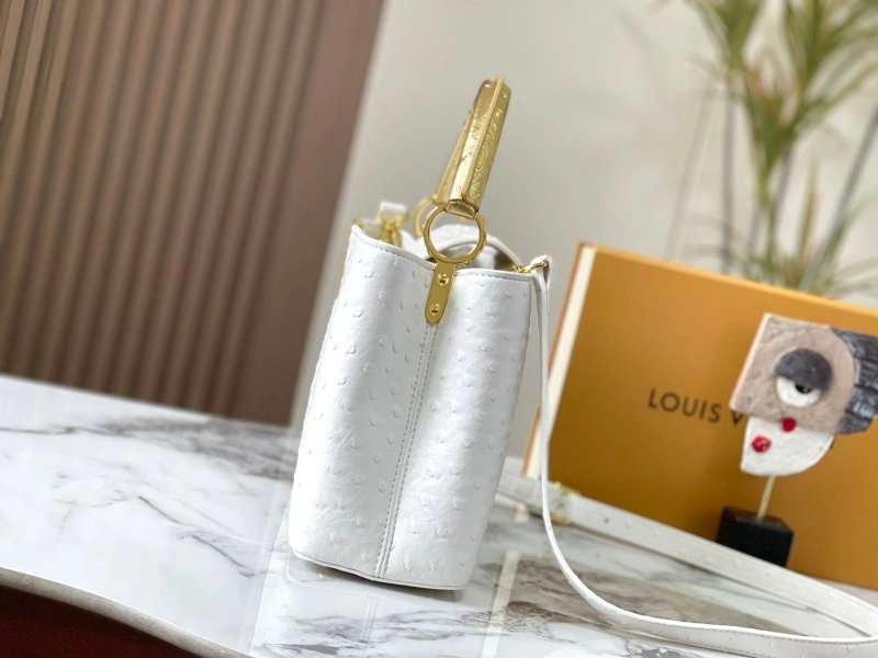 GoAnywhere LX Caxucines Bags 22520