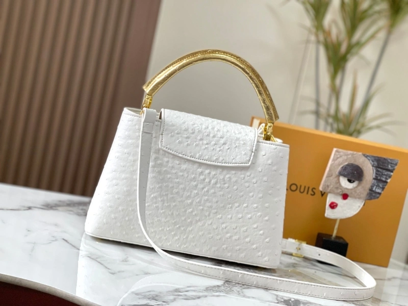 GoAnywhere LX Caxucines Bags 22520