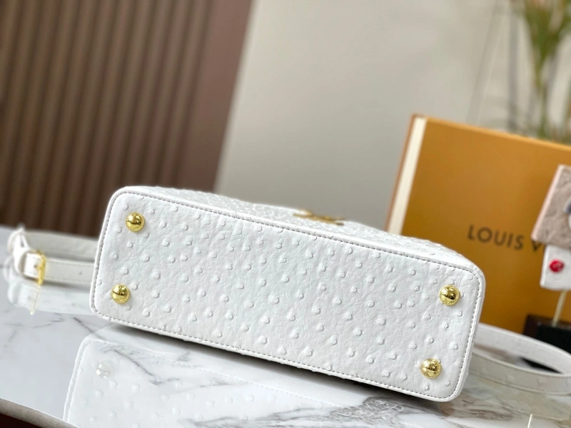 GoAnywhere LX Caxucines Bags 22520
