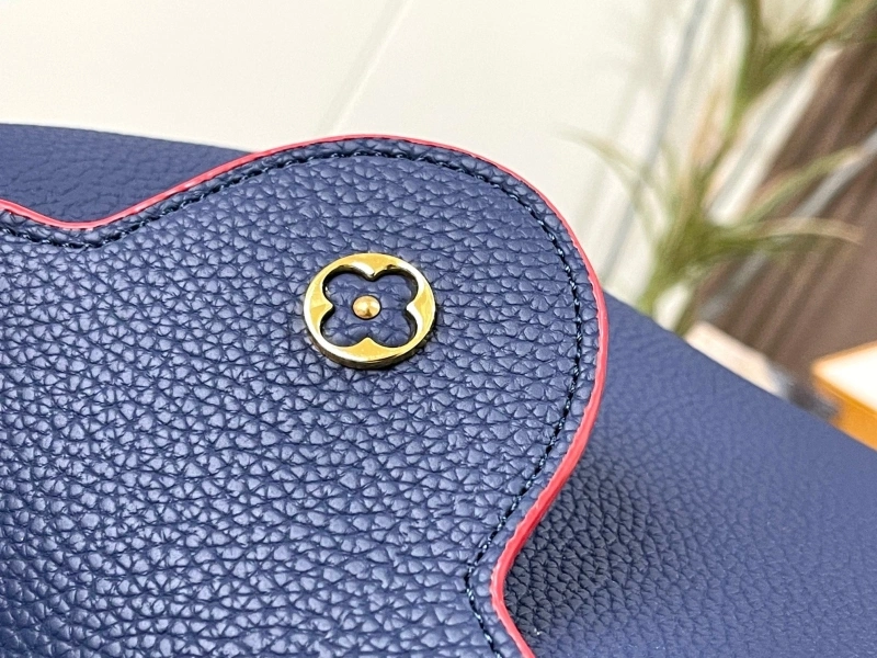 LX Caxucines Bags GoAnywhere 22466