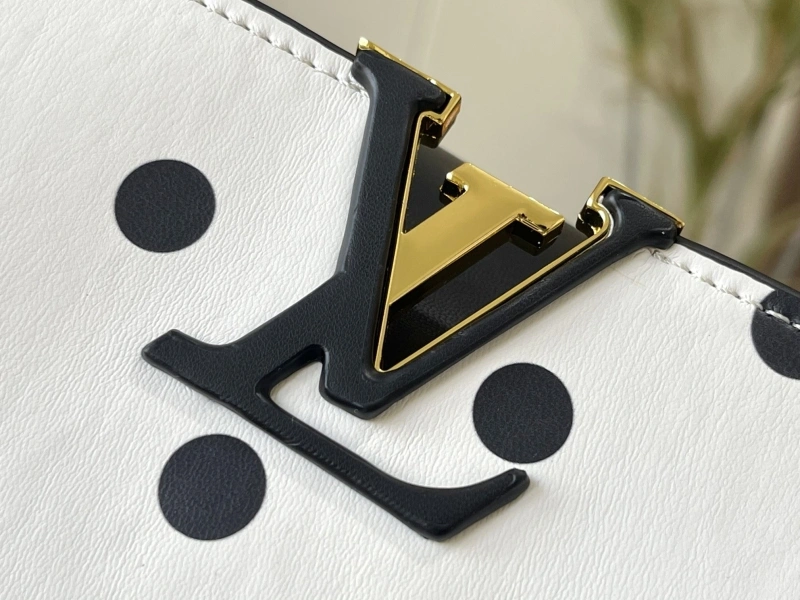 Fashionable LX Caxucines Bags 22430