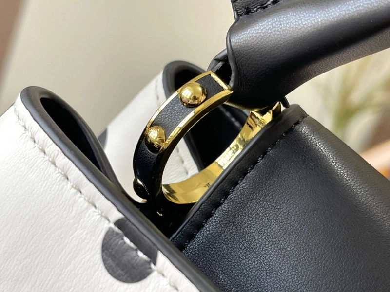 Fashionable LX Caxucines Bags 22430