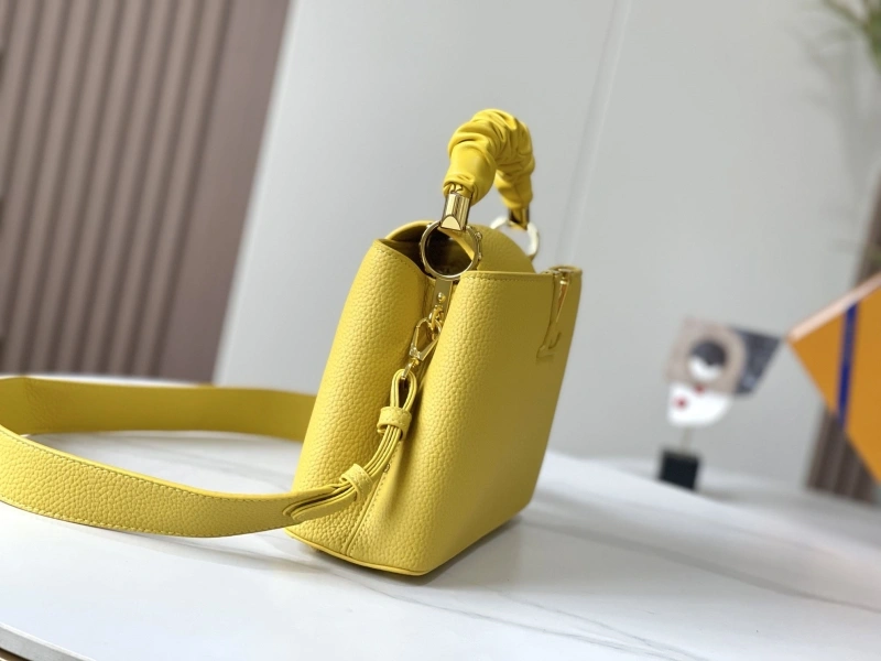 Comfortable LX Caxucines Bags 22427