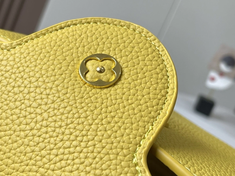 Comfortable LX Caxucines Bags 22427