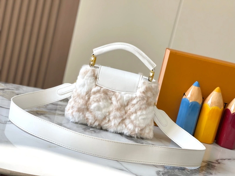 Fashionable LX Caxucines Bags 22420