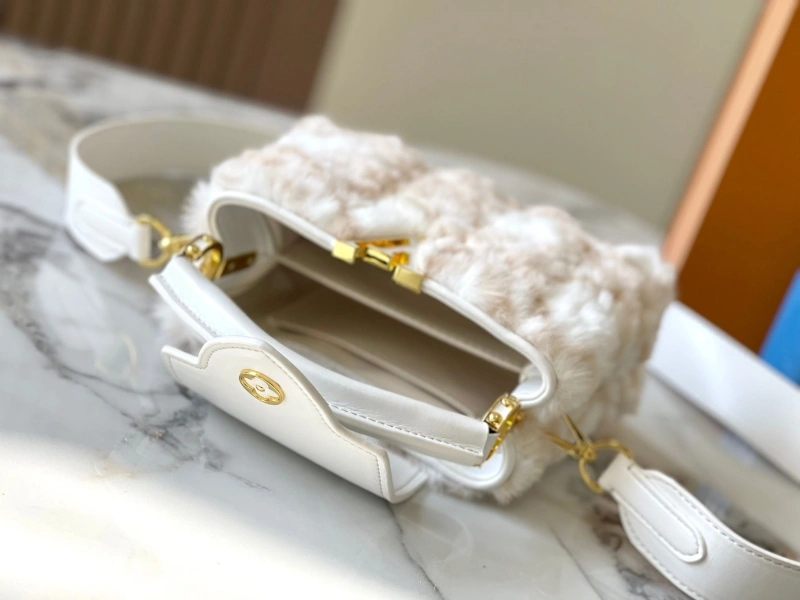 Fashionable LX Caxucines Bags 22420