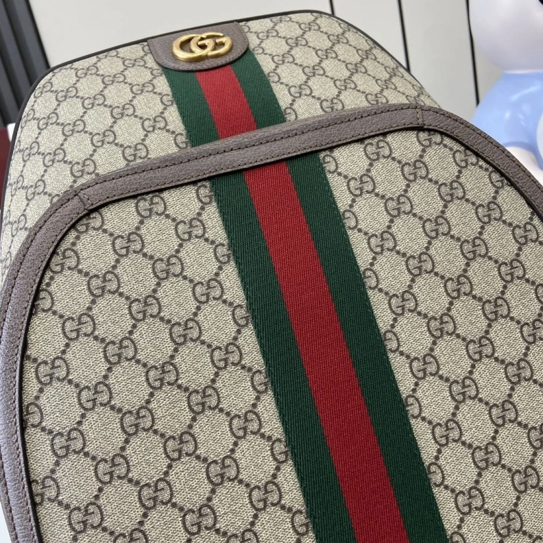 Gxccx Backpacks DailyWear 38758