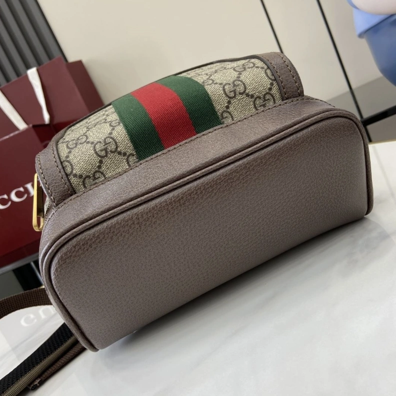 Stylish Gxccx Backpacks 38756