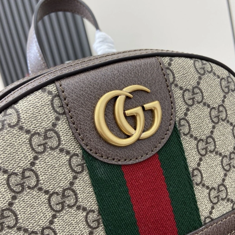 Stylish Gxccx Backpacks 38756
