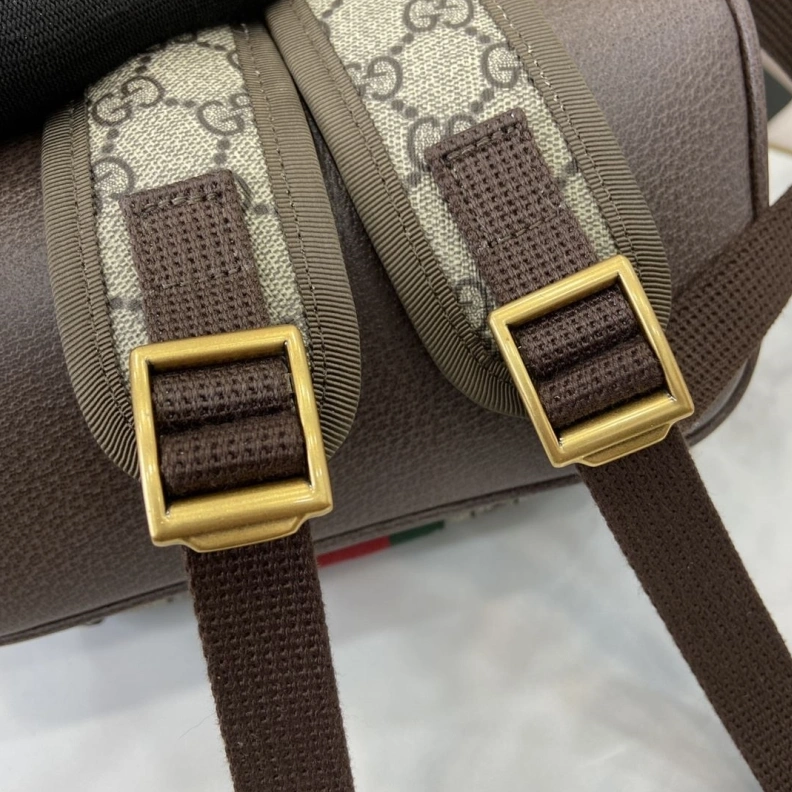 Stylish Gxccx Backpacks 38756