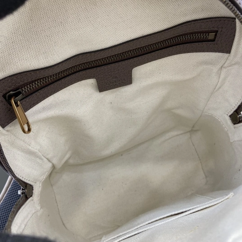 Stylish Gxccx Backpacks 38756