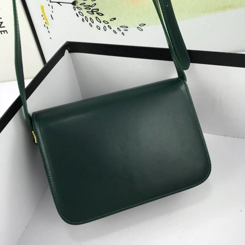 EyeCatching Cxlxne Satchel Bags 89500
