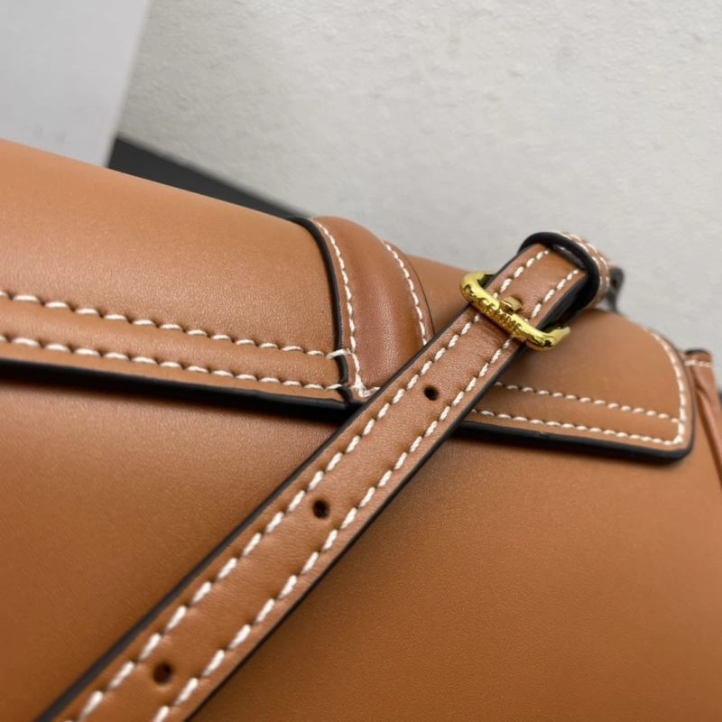 Elegant Cxlxne Satchel Bags 87606