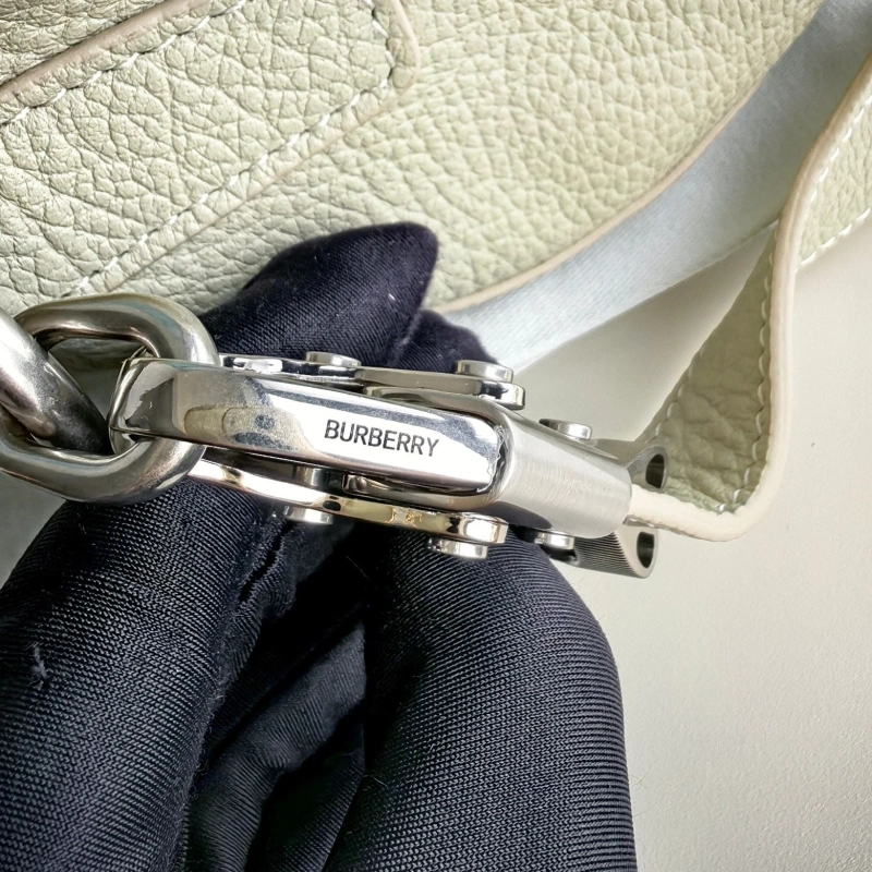 Bxrbxrry Satchel Bags Unique 76281