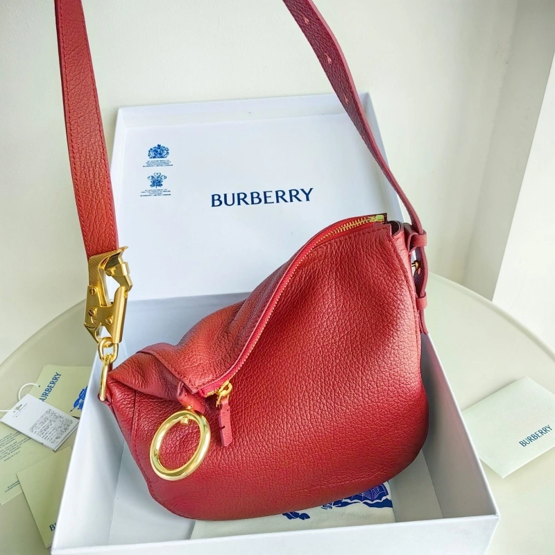 Bxrbxrry Satchel Bags Compact 76263
