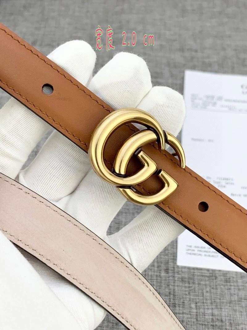 DailyWear GXCCX 244570
